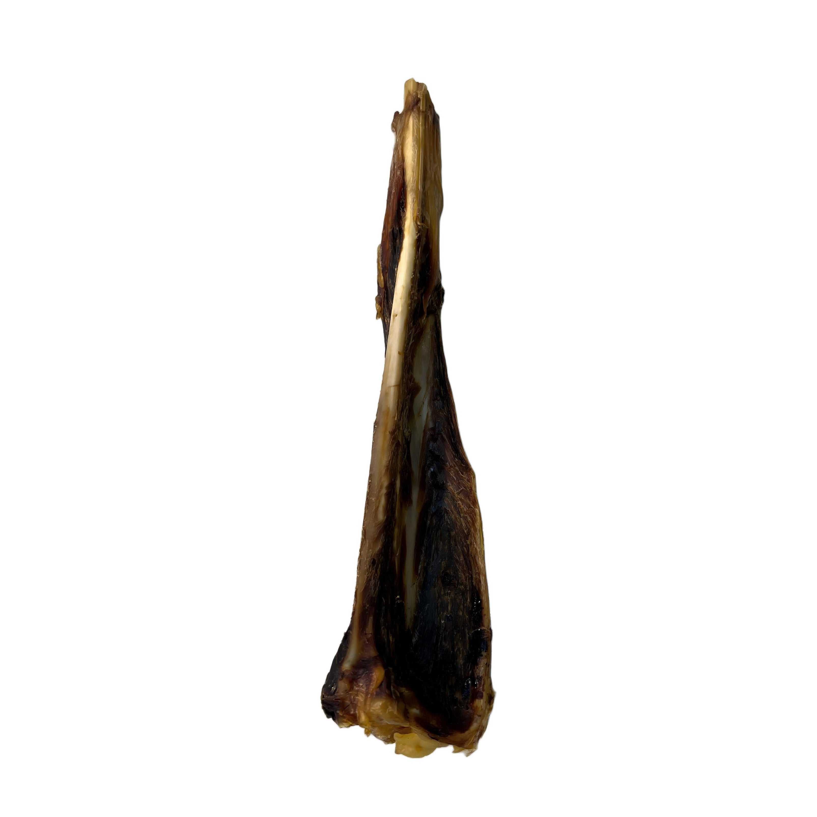 Kangaroo Shin Bone