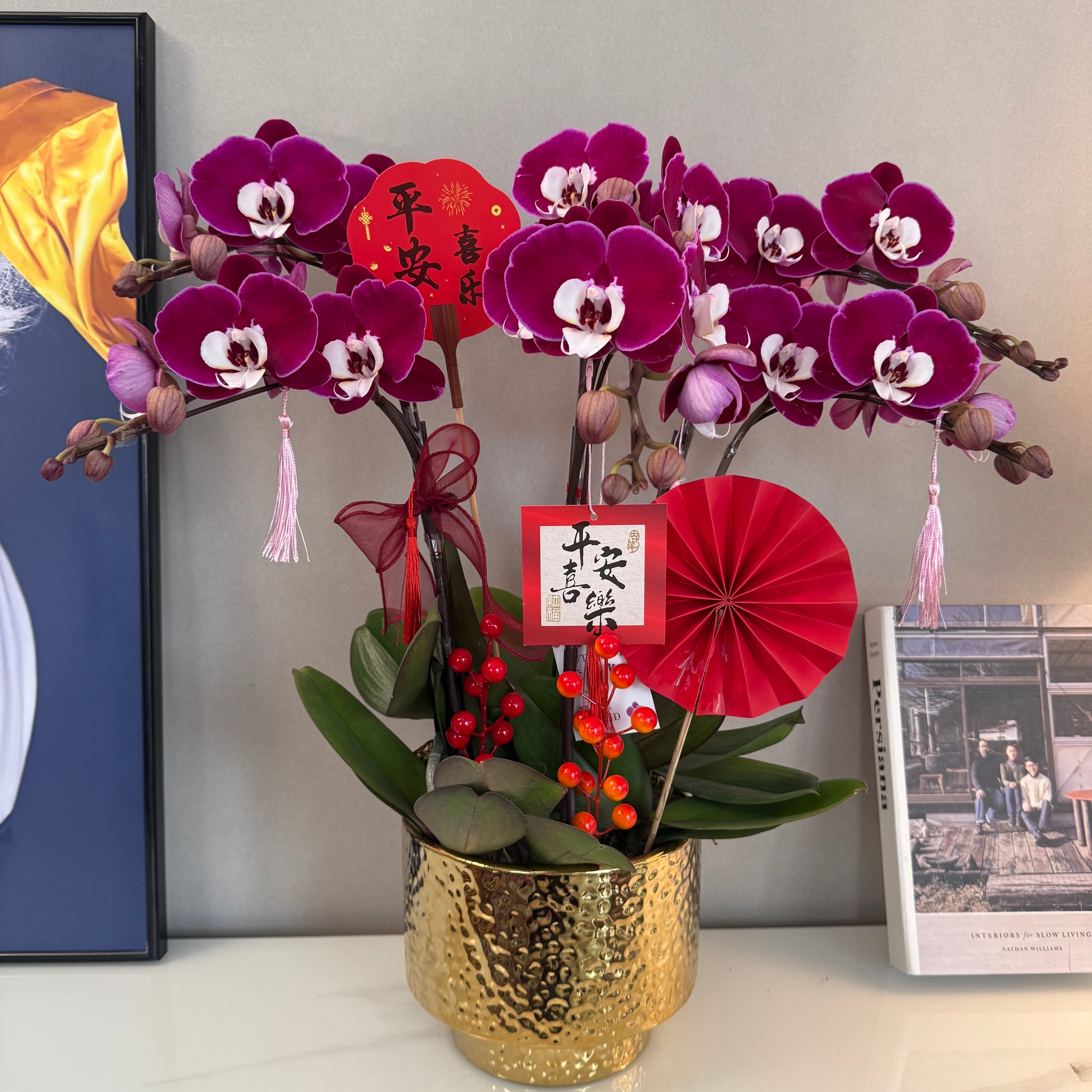 Live Orchids In Gold [ LIVESTREAM SPECIAL ]