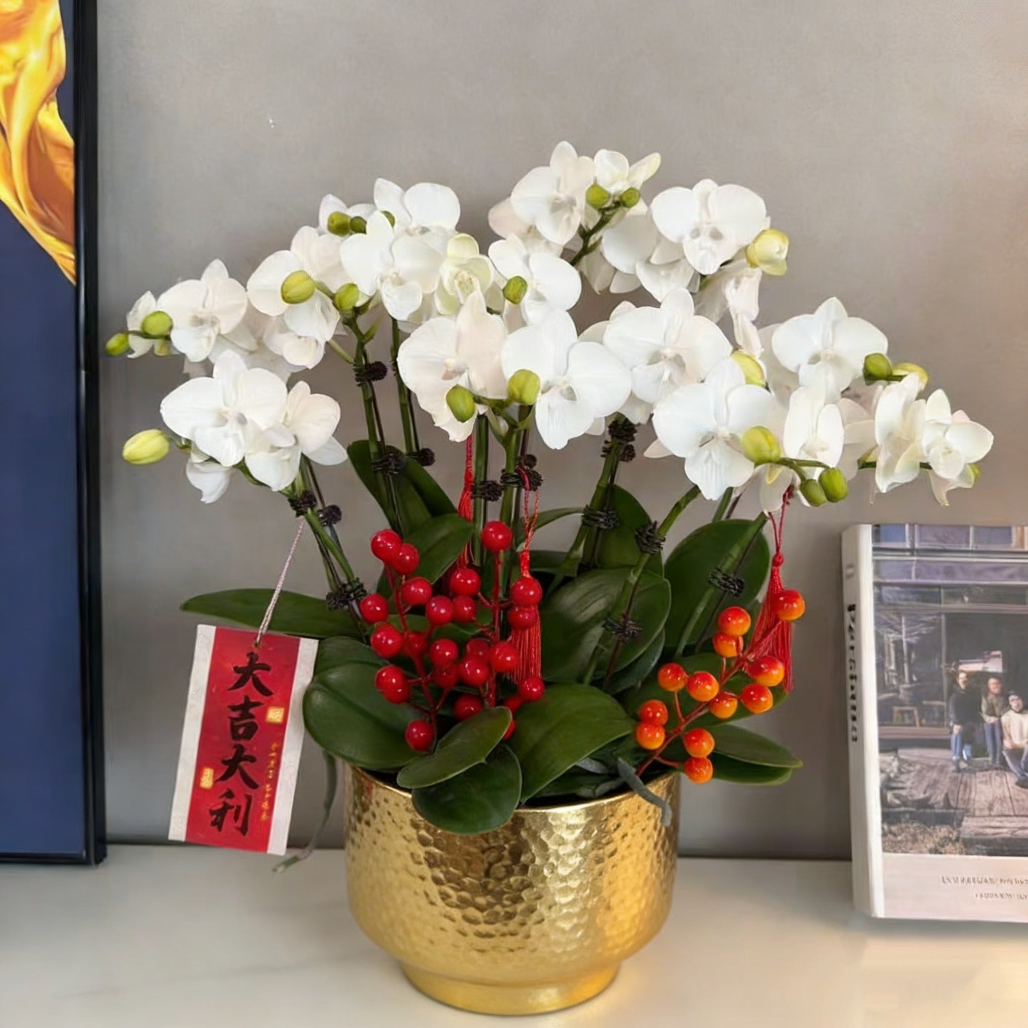 Live Orchids In Gold [ LIVESTREAM SPECIAL ]