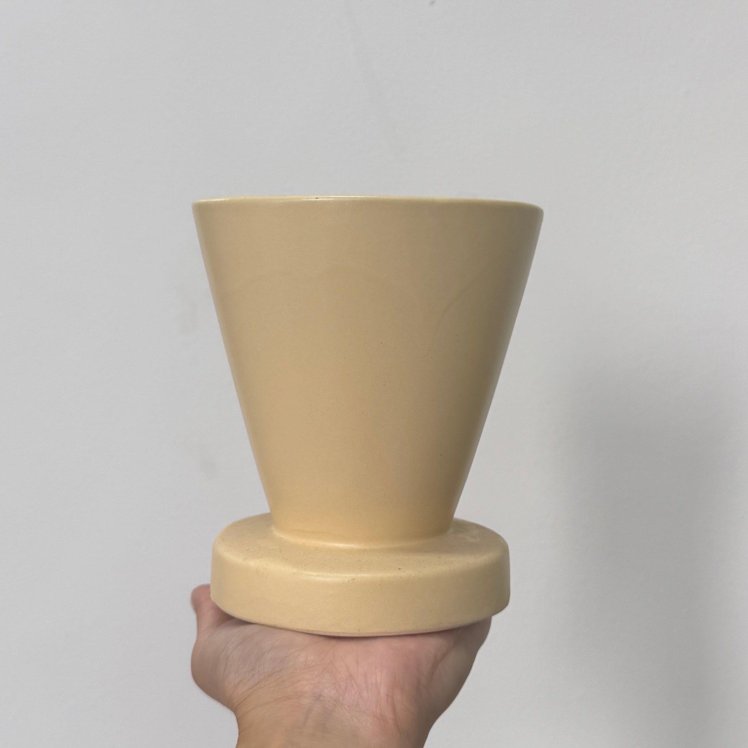 $22.8 Christmas Orchid Sprint! [ SELECT YOUR POT | LIVE SPECIAL | Single Orchids ]