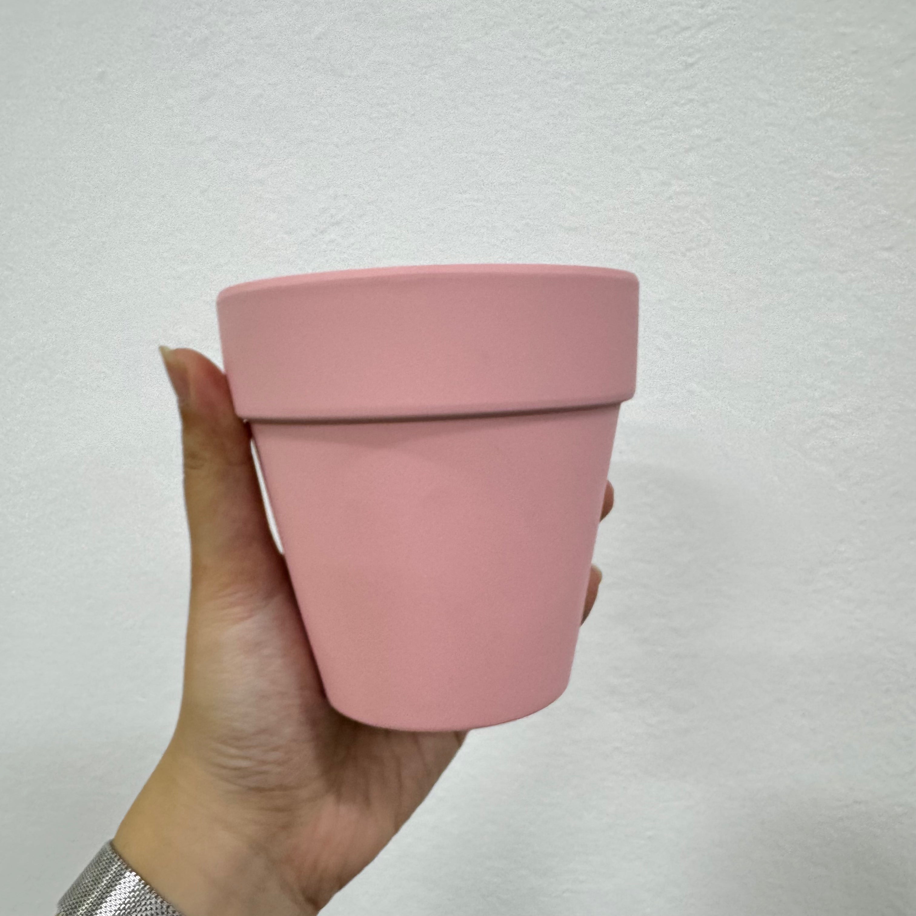 Lightning [Dark Red with Yellow Stripes | Est 50cm | Live Orchids ]