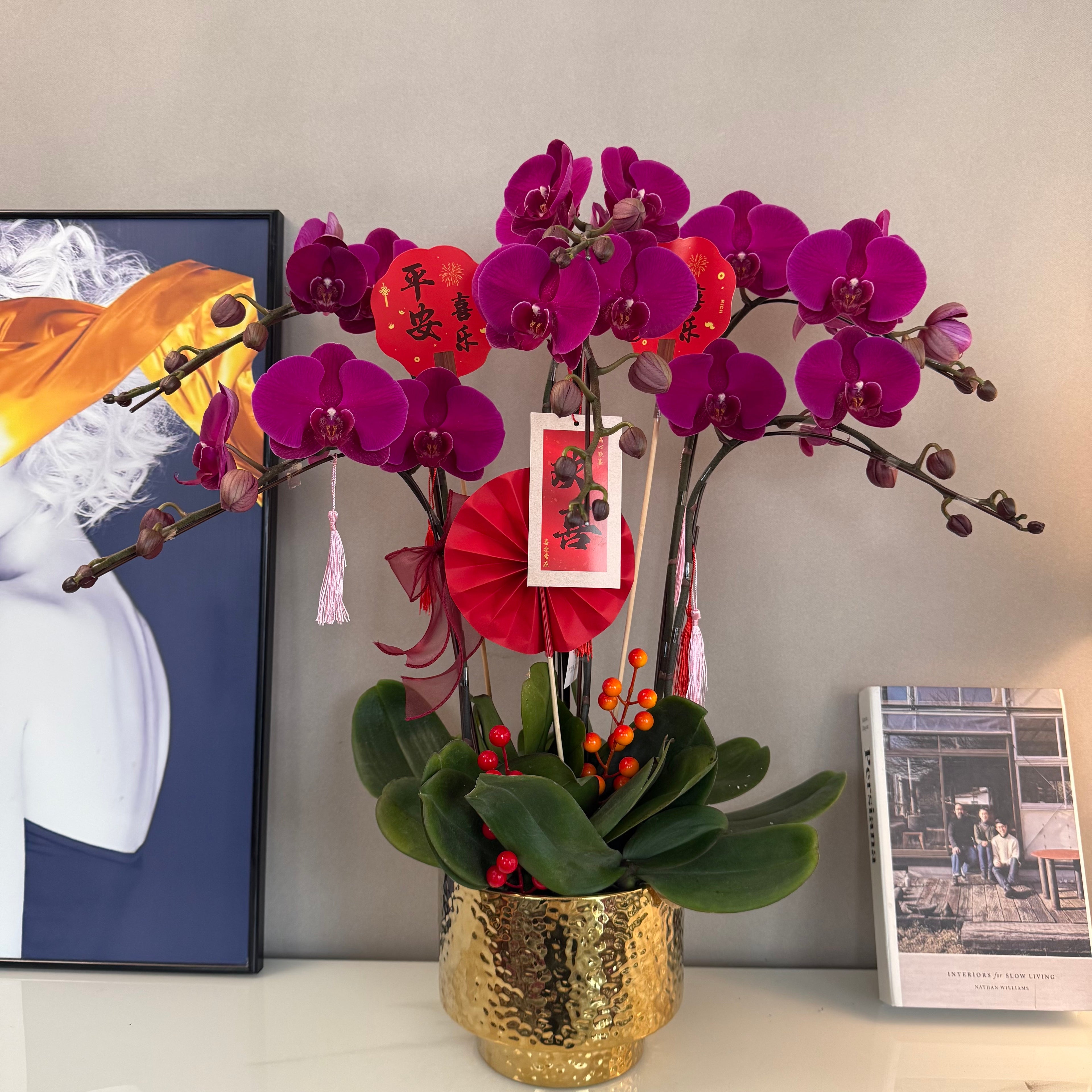 Live Orchids In Gold [ LIVESTREAM SPECIAL ]