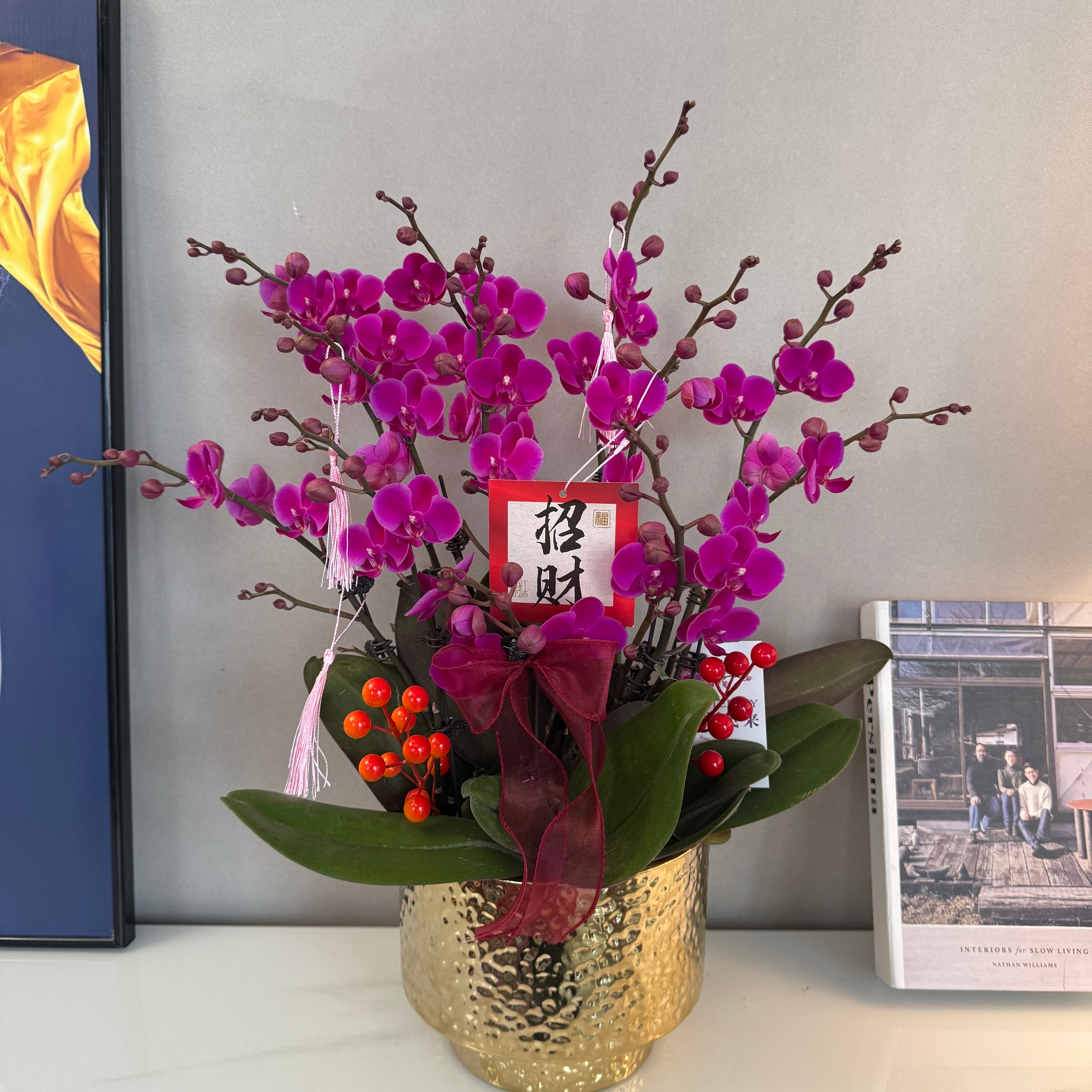 Live Orchids In Gold [ LIVESTREAM SPECIAL ]